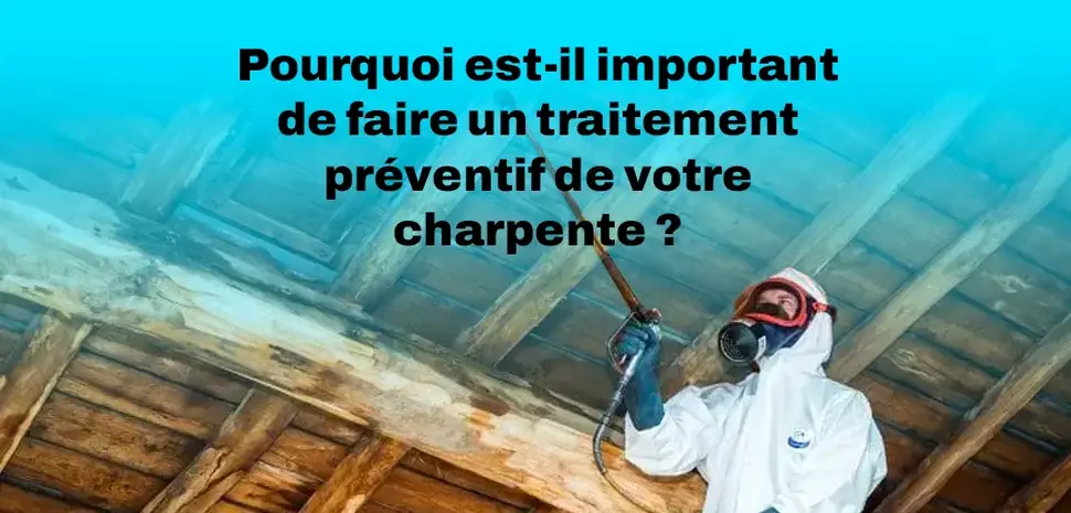 Pourquoi est-il important de faire un traitement préventif de votre charpente ?